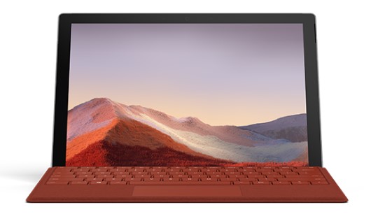 定城镇清洁和维护 Surface